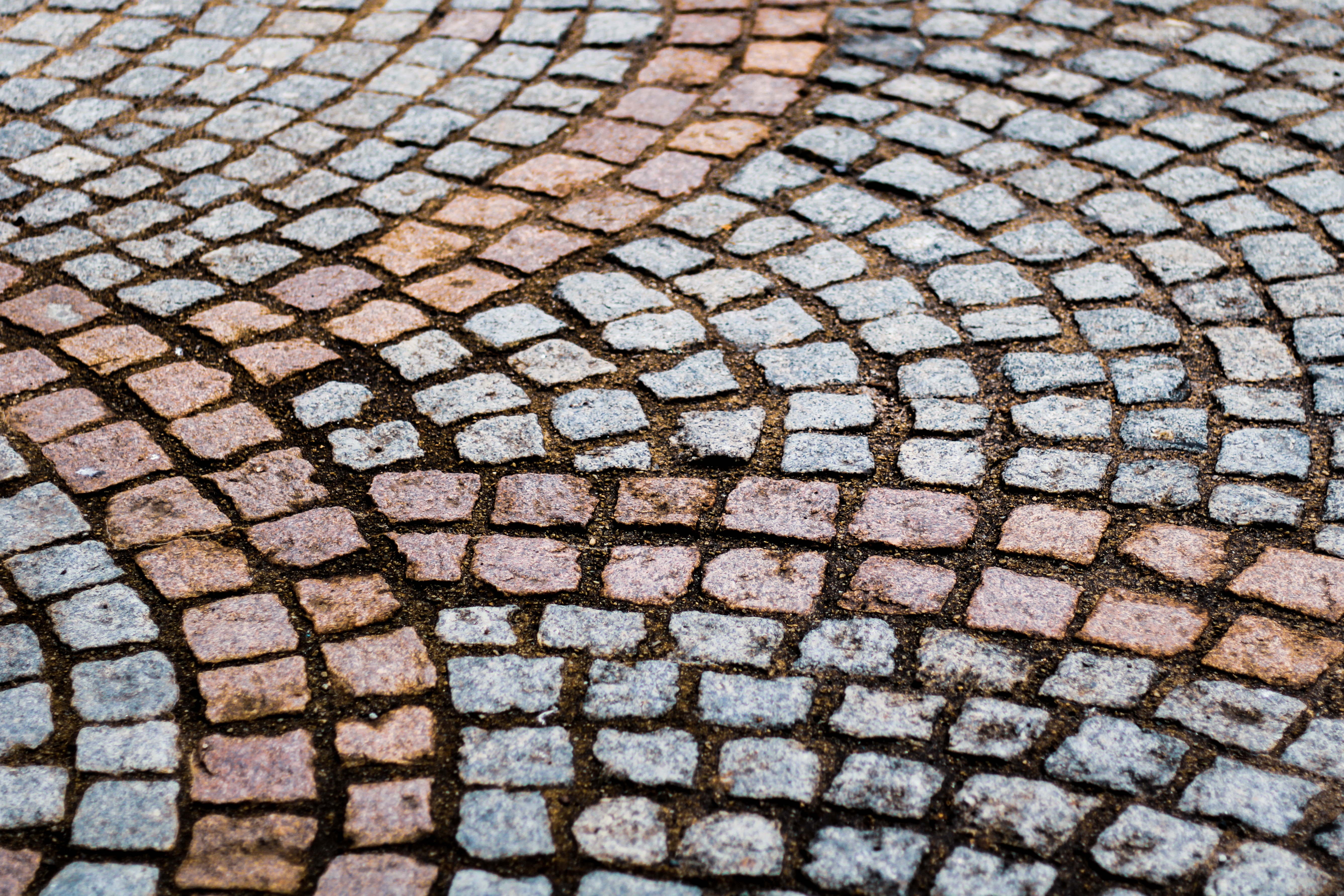 Brick paving in a curving, round pattern.