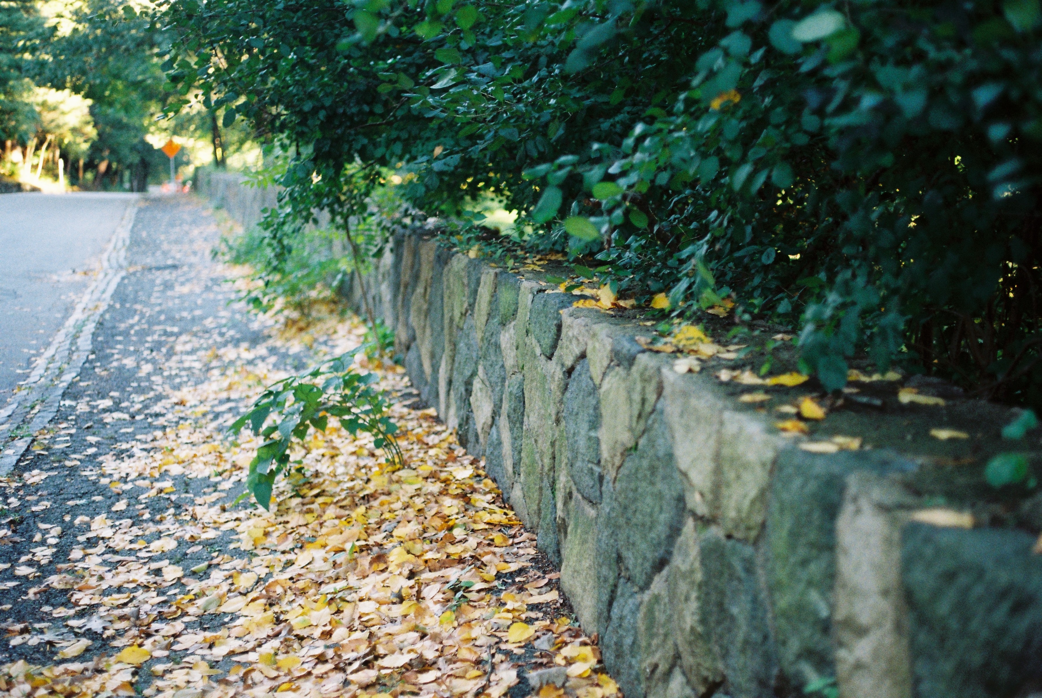 stone garden retaining wall